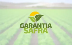 Maringá 98 FM — O secretário de Agricultura Familiar e Agroecologia do Ministério do Desenvolvimento Agrário e Agricultura Familiar, Vanderley Ziger, autorizou nesta quarta-feira (18) o pagamento do benefício Garantia-Safra para cerca de 42 mil agricultores de 164 municípios da Paraíba. A medida foi oficializada por meio da Portaria nº 357, de 17 de março de 2026, e contempla produtores que aderiram ao programa na safra 2024/2025.as cidades contempladas na nossa região são: Cajazeirinhas, Jericó, Malta, Mato Grosso, Paulista, Riacho dos Cavalos, São Bentinho, São Domingos, Vista Serrana e Pombal.