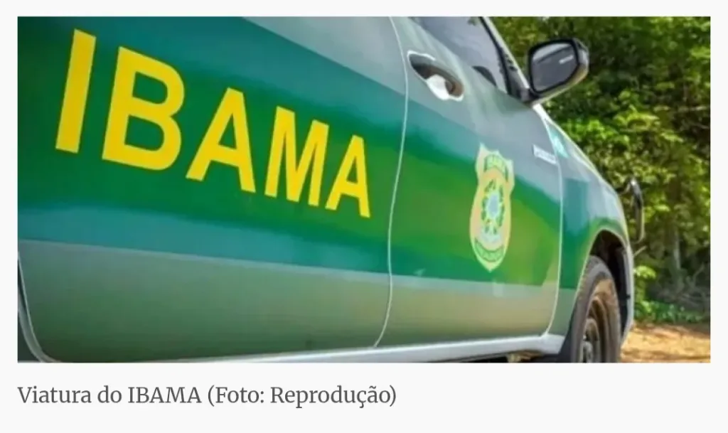 Maringá 98 FM — O Ibama realizou, ontem (20), uma operação que resultou na apreensão de aproximadamente 9,8 toneladas de peixes nas cidades de Coremas e Sousa, no Sertão da Paraíba. A ação teve como objetivo combater a pesca durante o período de desova das espécies, prática considerada ilegal por comprometer a reprodução dos peixes e o equilíbrio ambiental. A operação contou com o apoio do Batalhão de Policiamento Ambiental da Polícia Militar da Paraíba (BPMA). Entre as espécies apreendidas estão curimatã, sardinha, branquinha e piau, cuja captura é proibida conforme estabelece a Instrução Normativa Ibama nº 210/2008. A medida busca garantir a preservação […]