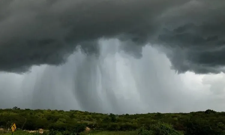 Maringá 98 FM — O Instituto Nacional de Meteorologia (Inmet) emitiu, nesta segunda-feira (13), dois alertas de chuvas intensas para toda a Paraíba. Os avisos são válidos até às 23h59 de terça-feira (14) e abrangem todas as regiões do estado. De acordo com o Inmet, pode chover até 100 milímetros por dia, com ventos intensos entre 60 e 100 km/h. Há risco de corte no fornecimento de energia elétrica, queda de árvores, alagamentos e desabamentos pontuais. Para os dois níveis de alerta, o Inmet orienta que a população evite se abrigar embaixo de árvores durante as chuvas, não estacione veículos próximo a torres de [&hellip;]