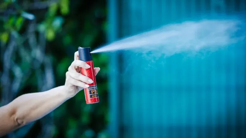 Maringá 98 FM — O governador Lucas Ribeiro sancionou uma lei que permite a venda de spray de pimenta em farmácias, exclusivamente para mulheres, como instrumento de autodefesa. A medida foi publicada nesta quinta-feira (23) no Diário Oficial. A lei é de autoria do deputado estadual Delegado Wallber Virgolino e, de acordo com o texto, a compra só poderá ser realizada mediante apresentação de documento oficial com foto. Além disso, os sprays deverão ficar armazenados em locais seguros e de acesso controlado, “para evitar aquisição indevida por pessoas não autorizadas”. A lei também determina que os produtos comercializados devem seguir normas técnicas e padrões [&hellip;]
