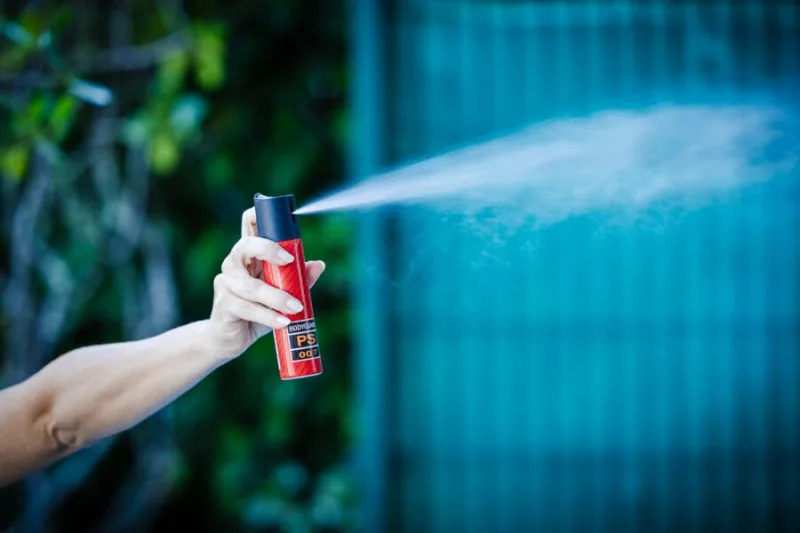 Maringá 98 FM — O governador Lucas Ribeiro sancionou uma lei que permite a venda de spray de pimenta em farmácias, exclusivamente para mulheres, como instrumento de autodefesa. A medida foi publicada nesta quinta-feira (23) no Diário Oficial. A lei é de autoria do deputado estadual Delegado Wallber Virgolino e, de acordo com o texto, a compra só poderá ser realizada mediante apresentação de documento oficial com foto. Além disso, os sprays deverão ficar armazenados em locais seguros e de acesso controlado, “para evitar aquisição indevida por pessoas não autorizadas”. A lei também determina que os produtos comercializados devem seguir normas técnicas e padrões [&hellip;]