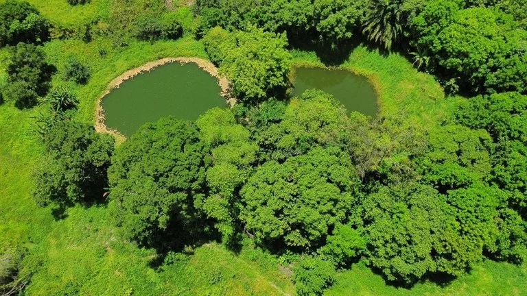 Maringá 98 FM — OGoverno da Paraíba realiza na próxima semana, entre os dias 1º e 6 de junho, uma programação especial em alusão à Semana do Meio Ambiente 2026, com ações integradas promovidas pela Secretaria de Estado do Meio Ambiente e Sustentabilidade (Semas) e pela Superintendência de Administração do Meio Ambiente (Sudema). A agenda reúne atividades de Educação Ambiental, conservação da biodiversidade, recuperação de nascentes, diálogo com comunidades tradicionais, trilhas, observação de aves e integração com o meio acadêmico. A abertura oficial ocorre na segunda-feira, às 9h, na Sala de Concertos Maestro José Siqueira, no Espaço Cultural José Lins do Rêgo, em João Pessoa. [&hellip;]