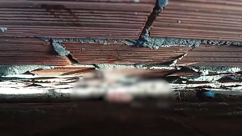 Maringá 98 FM — Um bebê recém-nascido, encontrado abandonado entre duas casas no município de Alhandra, no Litoral Sul da Paraíba, morreu por volta das 23h na noite dessa terça-feira (19), apesar das tentativas de socorro e dos atendimentos médicos realizados após o resgate. O caso aconteceu na tarde da terça-feira (19) e segue sendo investigado pela Polícia Civil da Paraíba. De acordo com as informações iniciais, a criança foi localizada em um espaço estreito entre dois muros. Para realizar o resgate, equipes do Serviço de Atendimento Móvel de Urgência (Samu) precisaram abrir um buraco em uma das paredes para acessar o local onde o bebê estava. [&hellip;]