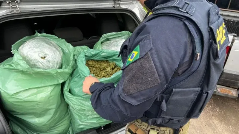 Maringá 98 FM — A Polícia Rodoviária Federal (PRF) na Paraíba tirou de circulação, 25 kg de skunk, variante da cannabis sativa conhecida como supermaconha. A ação se desenvolveu na madrugada desta quinta-feira (28), às 05h20, no km 70 da BR-230, no município de São Miguel de Taipu, na Zona da Mata paraibana. um homem de 42 anos e uma mulher de 56 anos foram detidos pelo crime de tráfico de drogas. Uma equipe da PRF realizava fiscalização de rotina, quando deu ordem de parada a um VW/Polo de cor prata. A condutora desobedeceu a ordem inicial e iniciou uma tentativa de fuga em direção [&hellip;]