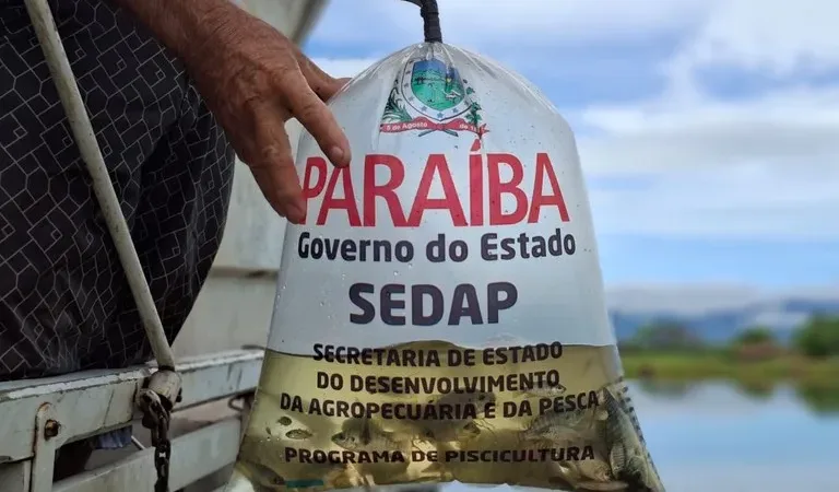 Maringá 98 FM — &nbsp; &nbsp; O Programa de Expansão e Desenvolvimento da Aquicultura em Águas Interiores do Estado da Paraíba, o popular Programa de Piscicultura, fará nesta sexta-feira (12), a partir das 8h, a entrega de 120 mil alevinos para quatro municípios do Sertão paraibano. Os alevinos são destinados ao repovoamento de peixes dos açudes dos municípios de Boa Ventura, Diamante, Pombal e São José de Piranhas. O programa do Governo do Estado é mantido por meio da Secretaria de Estado do Desenvolvimento da Agropecuária e da Pesca (Sedap-PB). O secretário da Sedap-PB, Júnior Nóbrega, enfatiza a importância do Programa da Piscicultura. “É mais [&hellip;]