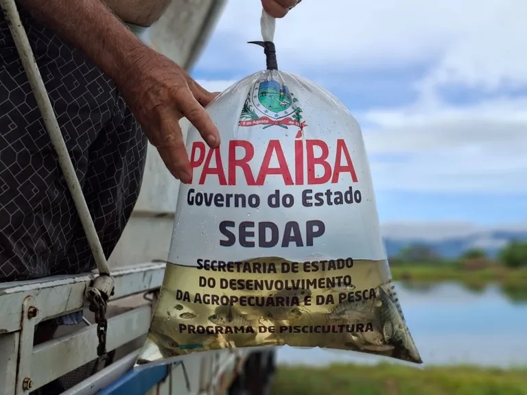 Maringá 98 FM —     O Programa de Expansão e Desenvolvimento da Aquicultura em Águas Interiores do Estado da Paraíba, o popular Programa de Piscicultura, fará nesta sexta-feira (12), a partir das 8h, a entrega de 120 mil alevinos para quatro municípios do Sertão paraibano. Os alevinos são destinados ao repovoamento de peixes dos açudes dos municípios de Boa Ventura, Diamante, Pombal e São José de Piranhas. O programa do Governo do Estado é mantido por meio da Secretaria de Estado do Desenvolvimento da Agropecuária e da Pesca (Sedap-PB). O secretário da Sedap-PB, Júnior Nóbrega, enfatiza a importância do Programa da Piscicultura. “É mais […]