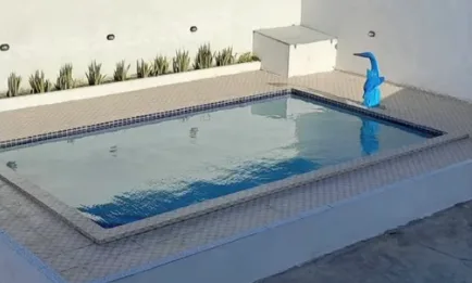 Maringá 98 FM — Uma criança de cinco anos morreu afogada, nessa quinta-feira (23), durante uma festa que acontecia em uma casa com piscina, no município de Sapé, na Paraíba. De acordo com informações preliminares, o menino e a mãe estariam participando de uma festa em uma casa com piscina. A mulher teria proibido a criança de entrar na água, mas permitiu que ele ficasse nas proximidades. Em determinado momento, a mãe teria ido arrumar o cabelo e, quando voltou, encontrou o menino boiando na água. A criança foi socorrida e levada em carro particular para o hospital, mas não resistiu. Segundo informações apuradas pela [&hellip;]