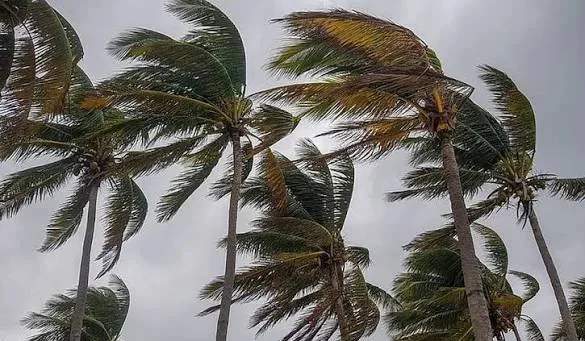 Maringá 98 FM — Um vendaval com ventos que podem chegar aos 60 quilômetros por hora (km/h) deve atingir todos os municípios da Paraíba, a partir desta quinta-feira (16). O alerta foi emitido nesta quarta-feira (15) pelo Instituto Nacional de Meteorologia (Inmet). Segundo o Inmet, o alerta é válido até às 23h59 do próximo sábado (18). Os municípios devem registrar ventos entre 40 e 60 km/h. Ainda conforme o Inmet, a situação oferece baixo risco de queda de galhos de árvores. O órgão também listou orientações de como a população pode se precaver se possíveis acidentes como não se abrigar debaixo de árvores e não estacionar veículos [&hellip;]